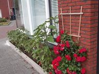 Van Karnebeekstraat 12, 1067 RK Amsterdam