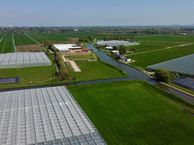 Van Wijklaan, 2678 NJ De Lier
