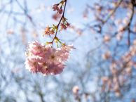 Belter Wijdestraat 30, 1316 JT Almere