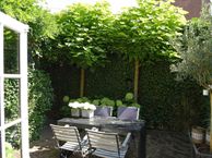 Zevenenderdrift 3 A, 1251 RA Laren (NH)