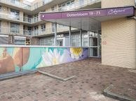 Dotterbloem 37, 2408 LA Alphen aan den Rijn