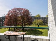 Visotterstraat 44, 6532 CK Nijmegen