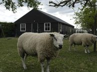 Werkhovenseweg 24 a, 3985 MH Werkhoven