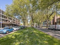 Goudestein 14, 3085 DB Rotterdam