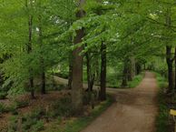 Everloweg 1, 7587 MA de Lutte