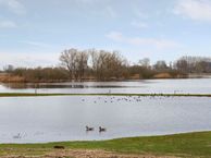 Gennerdijk 8, 8061 PR Hasselt