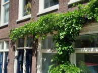 Saxenburgerstraat 7 Hs + I, 1054 KM Amsterdam