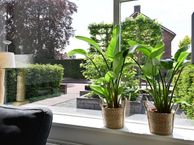 Radiolaan 41, 1276 EN Huizen