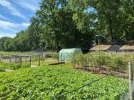 Sint Gerardusweg 15, 5571 NB Bergeijk