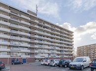 Peppelhorst 63, 2742 CV Waddinxveen