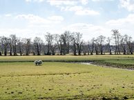 Kleverlaan 93, 2061 TE Bloemendaal