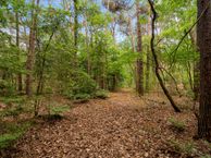 Banstraat 17, 5506 LA Veldhoven