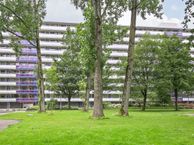 Petmolen 43, 1035 BG Amsterdam