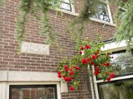 Govert Flinckstraat 10, 1506 LM Zaandam
