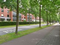 Tuin van Schellinger 25, 3703 DA Zeist
