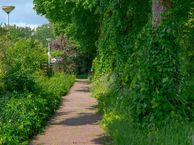 Braamspinner 34, 7943 RM Meppel