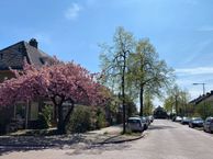 Vondellaan 52, 6824 NE Arnhem