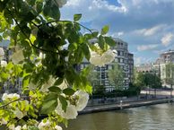 Eerste Kostverlorenkade 5 -2, 1052 EL Amsterdam