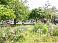 Berkenstraat 41, 2023 SX Haarlem