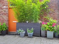 Pieter van der Werfstraat 128, 1067 EP Amsterdam