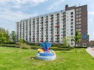 Suze Groeneweglaan 167, 3021 DV Rotterdam