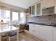 Louis Raemaekersstraat 19, 3119 NP Schiedam