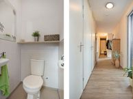 De Zaayer 42, 9723 ZB Groningen