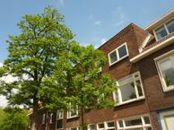 Van der Mondestraat 163 I, 3515 BG Utrecht