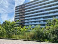 Rosmolen 63, 1035 CC Amsterdam