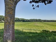 't Vaartje 38, 5165 NB Waspik