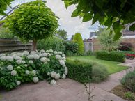 Doesburgseweg 19, 7031 AN Wehl