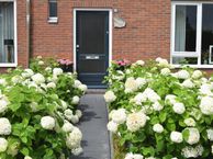 Seringenstraat 19, 9581 KV Musselkanaal