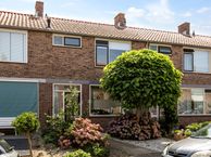 Molenlaan 47, 3299 BJ Maasdam