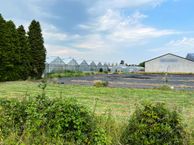 Veilingstraat, 5154 AA Elshout