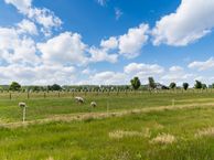 Zandekkers 17, 4119 LL Ravenswaaij