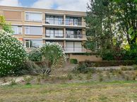 Nieuwenoord 166, 3079 LN Rotterdam