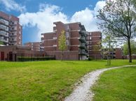 Timothee 83, 8935 CB Leeuwarden