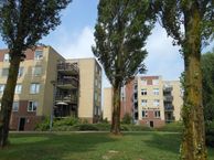 De Bongerd 48, 3863 ZV Nijkerk