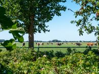 Pastoor Tetterodestraat 15, 1663 BB De Weere