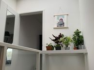 Gansstraat 28 B, 3582 EH Utrecht