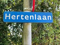 Hertenlaan 3 G01, 9751 GA Haren (GR)