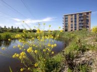 Adriaan van Royenlaan 66, 2341 PS Oegstgeest