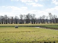 Kleverlaan 93, 2061 TE Bloemendaal