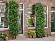 1e Jerichostraat 56 b, 3061 GH Rotterdam