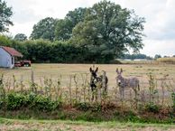 Lanckerweg 18, 7645 AT Hoge Hexel