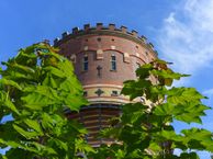 Lauwerhof 29, 3512 VD Utrecht