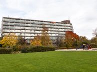 Vogelweide 39, 3815 HB Amersfoort