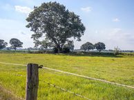 De Lhee 18, 7783 EG Gramsbergen