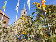 Weststraat 79, 4527 BS Aardenburg