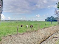 Korte Blokweg 2, 4301 NV Zierikzee